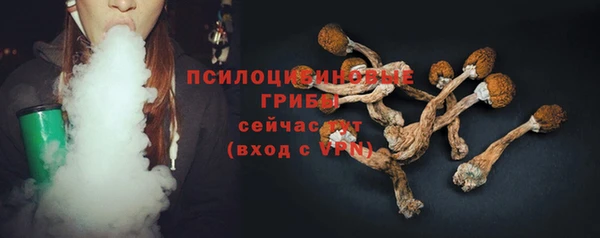a pvp Елабуга