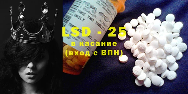 ПСИЛОЦИБИНОВЫЕ ГРИБЫ Елизово
