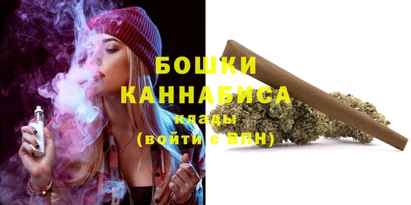 стафф Ельня