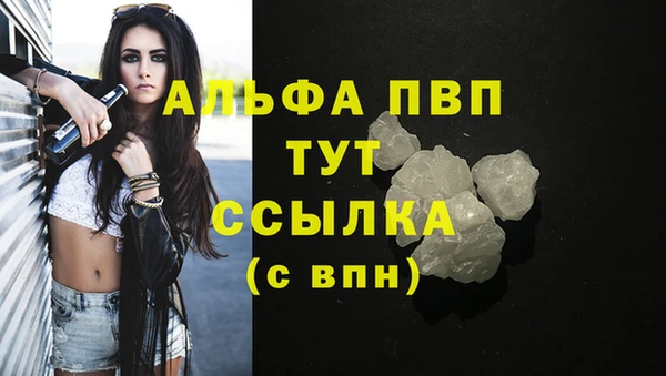 стафф Ельня