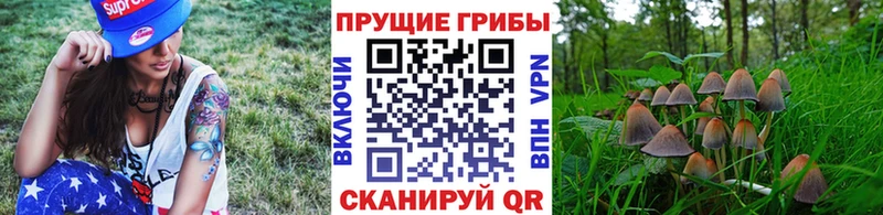 Купить закладки Сергач Галлюциногенные грибы Magic Shrooms